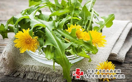【春分】长春中吉皮肤病医院春天银屑病养生指南