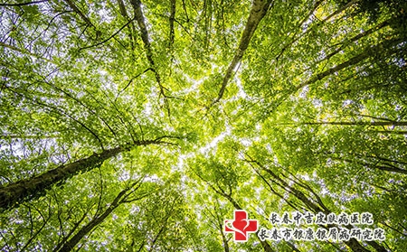 长春中吉皮肤病医院快递让邮药么?可以邮粉末的药吗