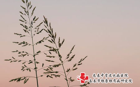 长春中吉皮肤病医院：什么快递能邮药?