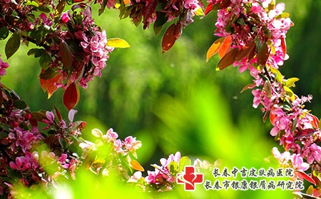 痤疮的出现带来的损害有什么