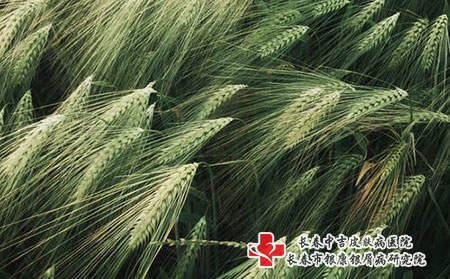 夏季皮炎高发，得了皮炎怎么治疗?