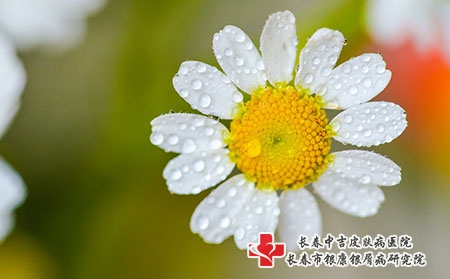 夏季荨麻疹高发，荨麻疹需要与哪些疾病相鉴别