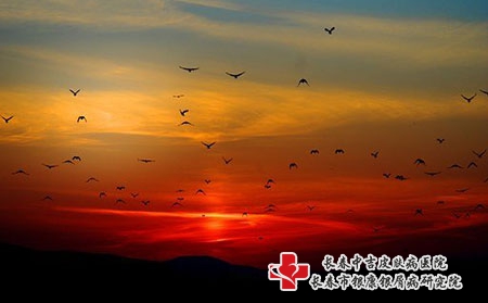 在四平得了荨麻疹一般怎样治疗好