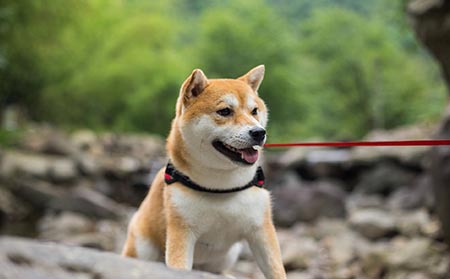 荨麻疹发生的原因都有什么