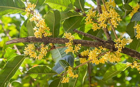 秋季节如何预防痤疮