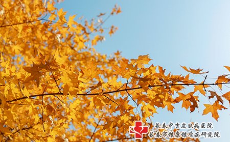 像秋天这样的天气比较干燥，就容易出现皮肤瘙痒