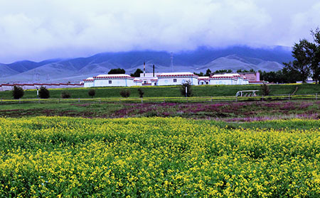 长春治疗红胎记哪家医院正规