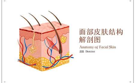 长春中吉专家讲解：治疗牛皮癣费用需要多少
